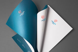 長帆集團(tuán)企業(yè)形象設(shè)計(jì)與國內(nèi)貿(mào)易代理服務(wù)的整合策略